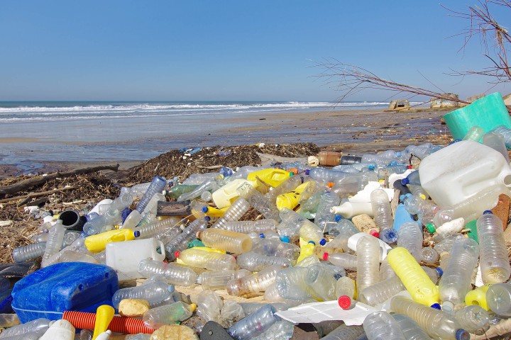 Pollution : les humains ingèrent des dizaines de milliers de particules de plastique chaque année